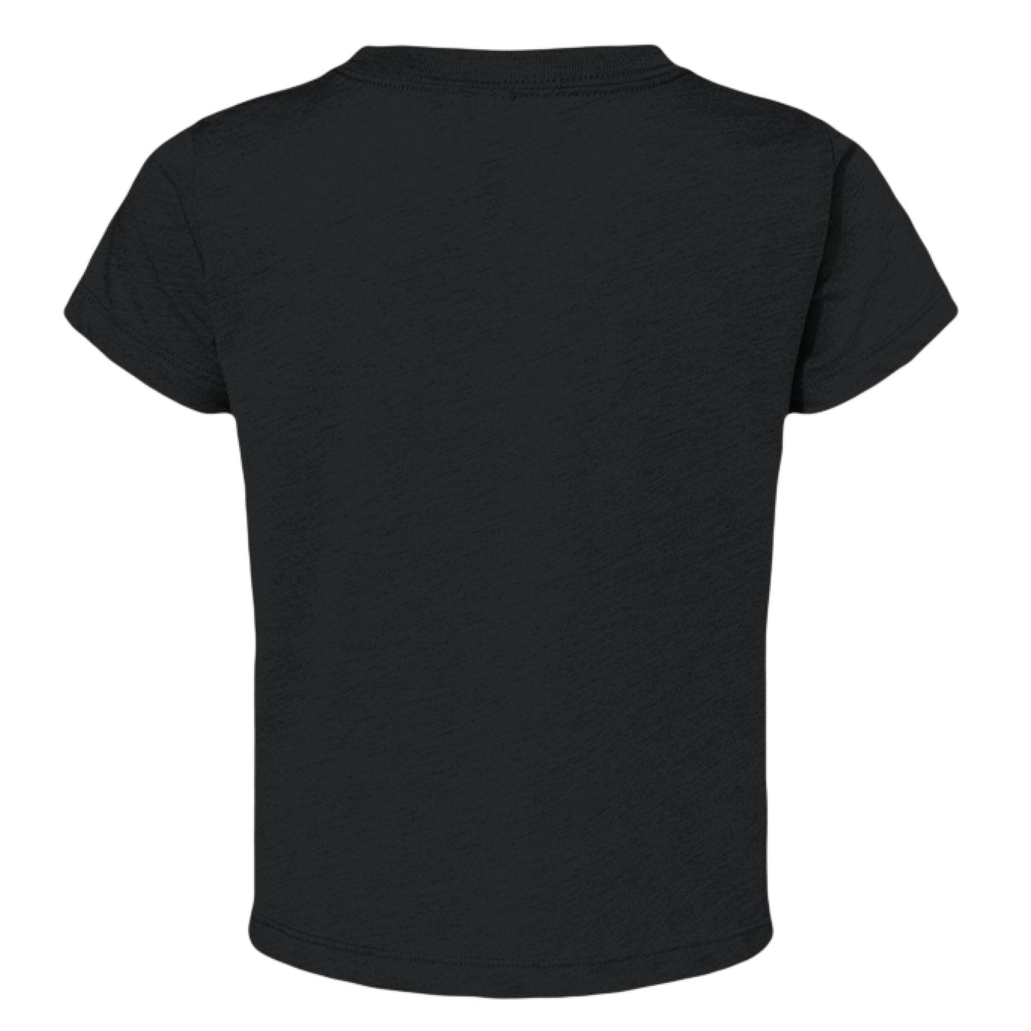 Solid Black Triblend - BACK