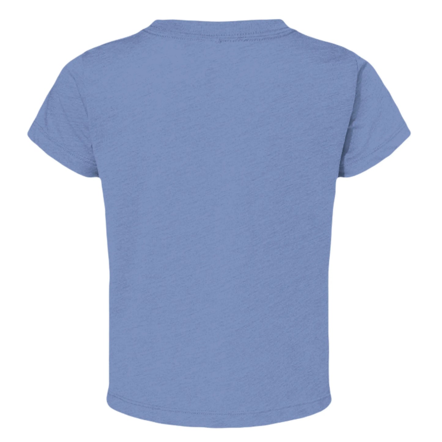 BLUE TRIBLEND - BACK