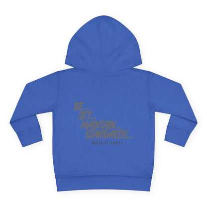 NYC United By Hoops Vintage Grey Toddler Hoodie Printify