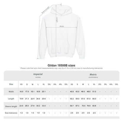 NYC United By Hoops Vintage Grey Youth Unisex Hoodie Printify