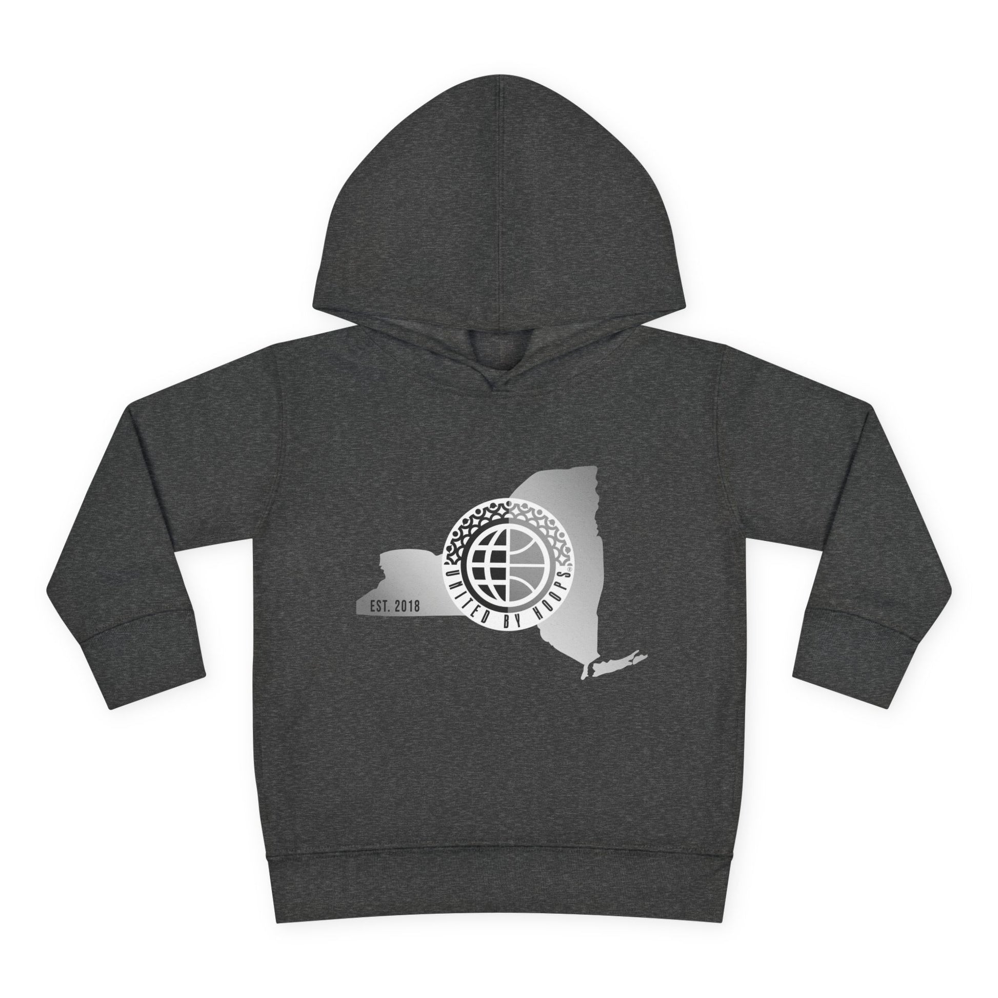 NYC United By Hoops Vintage Grey Toddler Hoodie Printify