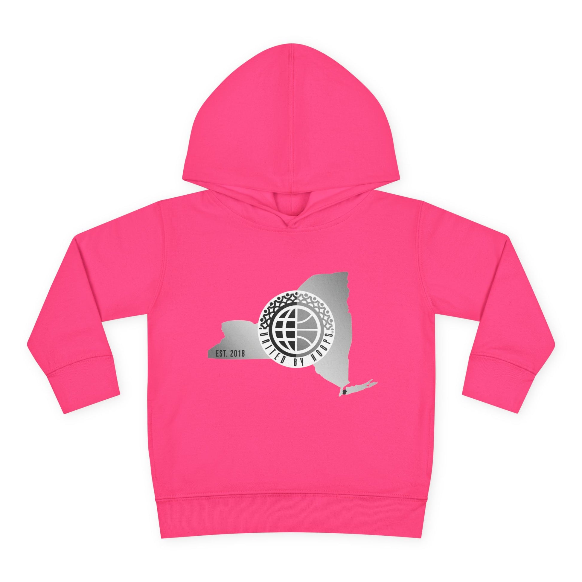 NYC United By Hoops Vintage Grey Toddler Hoodie Printify