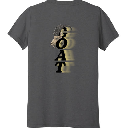 Solid Dark Grey Triblend - BACK