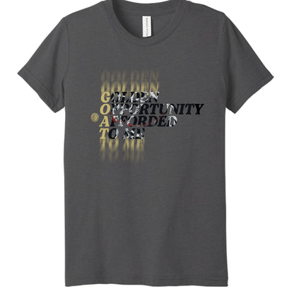 Solid Dark Grey Triblend - FRONT